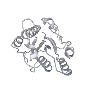 32273_7w38_b_v1-2
Structure of USP14-bound human 26S proteasome in state EA2.0_UBL