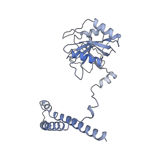 32273_7w38_c_v1-2
Structure of USP14-bound human 26S proteasome in state EA2.0_UBL