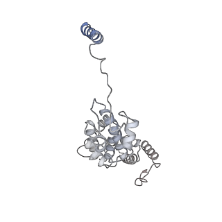 32273_7w38_d_v1-2
Structure of USP14-bound human 26S proteasome in state EA2.0_UBL