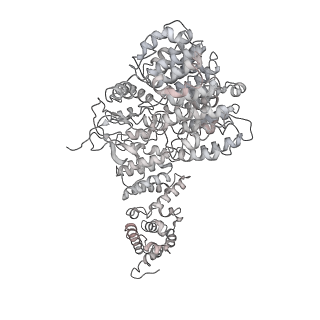 32273_7w38_f_v1-2
Structure of USP14-bound human 26S proteasome in state EA2.0_UBL