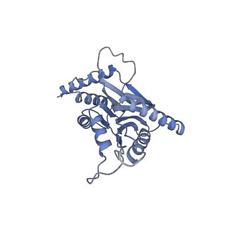 32273_7w38_i_v1-2
Structure of USP14-bound human 26S proteasome in state EA2.0_UBL