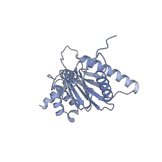 32273_7w38_j_v1-2
Structure of USP14-bound human 26S proteasome in state EA2.0_UBL