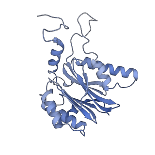 32273_7w38_k_v1-2
Structure of USP14-bound human 26S proteasome in state EA2.0_UBL
