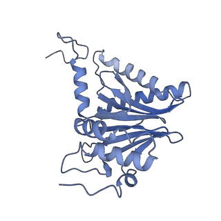 32273_7w38_l_v1-2
Structure of USP14-bound human 26S proteasome in state EA2.0_UBL