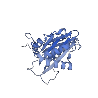 32273_7w38_m_v1-2
Structure of USP14-bound human 26S proteasome in state EA2.0_UBL