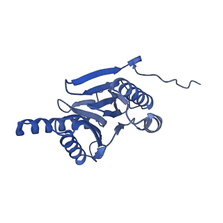 32273_7w38_n_v1-2
Structure of USP14-bound human 26S proteasome in state EA2.0_UBL