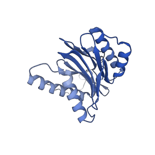 32273_7w38_o_v1-2
Structure of USP14-bound human 26S proteasome in state EA2.0_UBL
