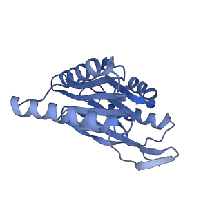32273_7w38_q_v1-2
Structure of USP14-bound human 26S proteasome in state EA2.0_UBL