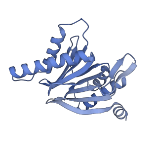 32273_7w38_r_v1-2
Structure of USP14-bound human 26S proteasome in state EA2.0_UBL