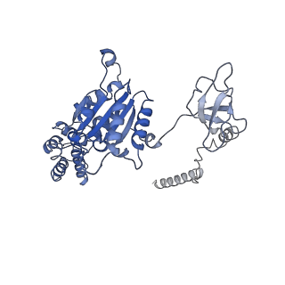 32274_7w39_A_v1-2
Structure of USP14-bound human 26S proteasome in state EA2.1_UBL
