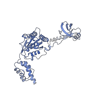 32274_7w39_B_v1-2
Structure of USP14-bound human 26S proteasome in state EA2.1_UBL