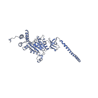 32274_7w39_D_v1-2
Structure of USP14-bound human 26S proteasome in state EA2.1_UBL