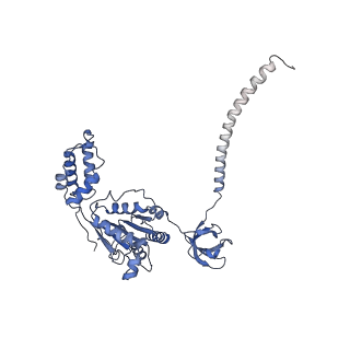 32274_7w39_E_v1-2
Structure of USP14-bound human 26S proteasome in state EA2.1_UBL