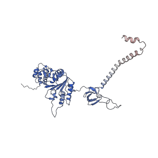 32274_7w39_F_v1-2
Structure of USP14-bound human 26S proteasome in state EA2.1_UBL