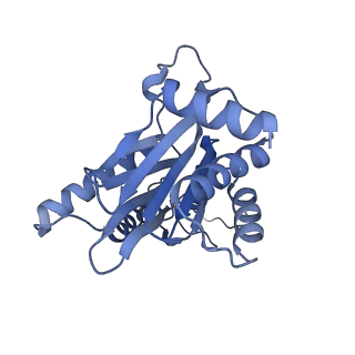 32274_7w39_G_v1-2
Structure of USP14-bound human 26S proteasome in state EA2.1_UBL