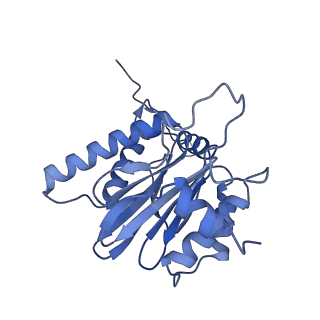 32274_7w39_H_v1-2
Structure of USP14-bound human 26S proteasome in state EA2.1_UBL