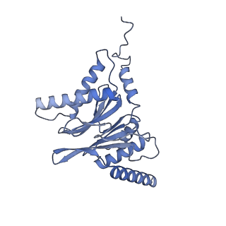 32274_7w39_I_v1-2
Structure of USP14-bound human 26S proteasome in state EA2.1_UBL