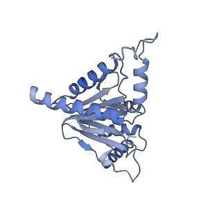 32274_7w39_J_v1-2
Structure of USP14-bound human 26S proteasome in state EA2.1_UBL