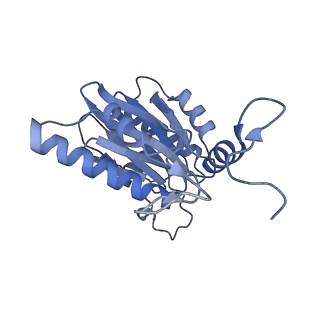 32274_7w39_K_v1-2
Structure of USP14-bound human 26S proteasome in state EA2.1_UBL