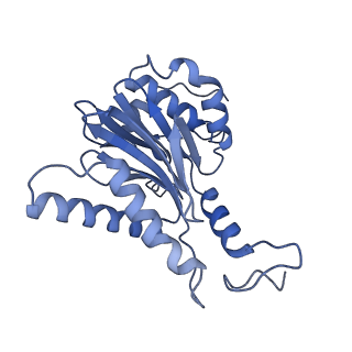 32274_7w39_L_v1-2
Structure of USP14-bound human 26S proteasome in state EA2.1_UBL