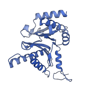 32274_7w39_M_v1-2
Structure of USP14-bound human 26S proteasome in state EA2.1_UBL