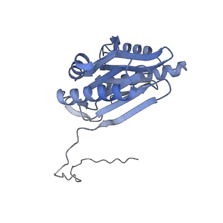 32274_7w39_O_v1-2
Structure of USP14-bound human 26S proteasome in state EA2.1_UBL