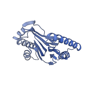 32274_7w39_R_v1-2
Structure of USP14-bound human 26S proteasome in state EA2.1_UBL