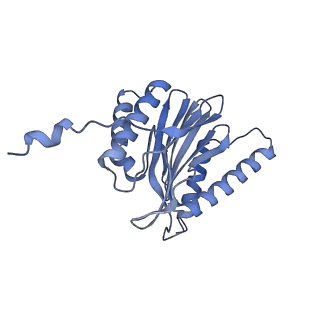 32274_7w39_T_v1-2
Structure of USP14-bound human 26S proteasome in state EA2.1_UBL