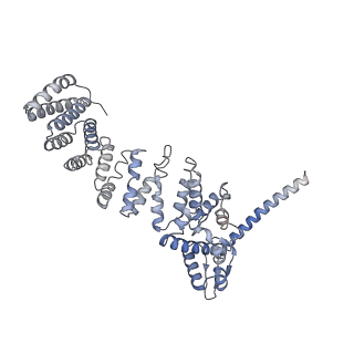 32274_7w39_W_v1-2
Structure of USP14-bound human 26S proteasome in state EA2.1_UBL