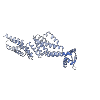 32274_7w39_X_v1-2
Structure of USP14-bound human 26S proteasome in state EA2.1_UBL