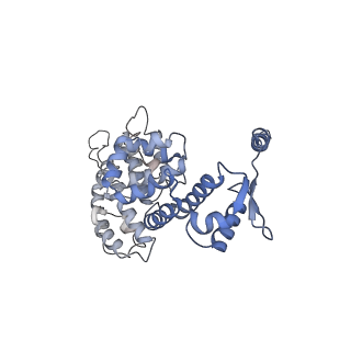 32274_7w39_Y_v1-2
Structure of USP14-bound human 26S proteasome in state EA2.1_UBL