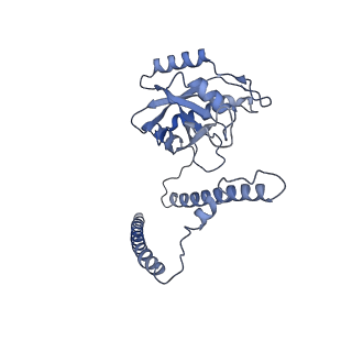 32274_7w39_Z_v1-2
Structure of USP14-bound human 26S proteasome in state EA2.1_UBL