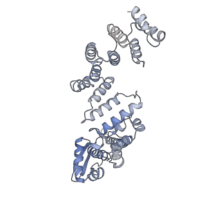 32274_7w39_a_v1-2
Structure of USP14-bound human 26S proteasome in state EA2.1_UBL