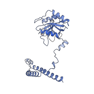 32274_7w39_c_v1-2
Structure of USP14-bound human 26S proteasome in state EA2.1_UBL
