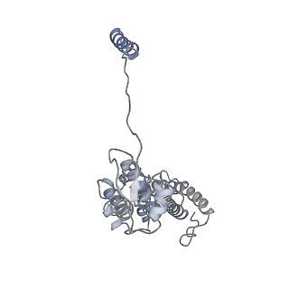 32274_7w39_d_v1-2
Structure of USP14-bound human 26S proteasome in state EA2.1_UBL