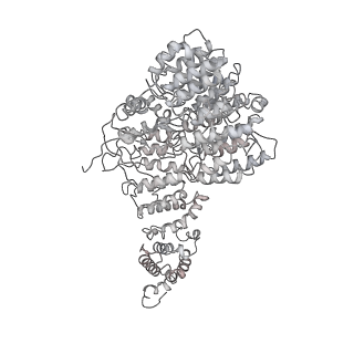 32274_7w39_f_v1-2
Structure of USP14-bound human 26S proteasome in state EA2.1_UBL