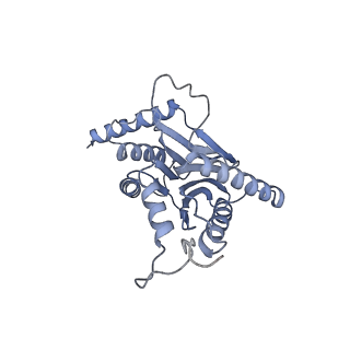 32274_7w39_i_v1-2
Structure of USP14-bound human 26S proteasome in state EA2.1_UBL