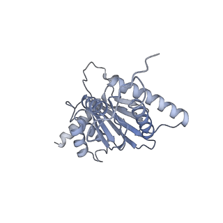 32274_7w39_j_v1-2
Structure of USP14-bound human 26S proteasome in state EA2.1_UBL