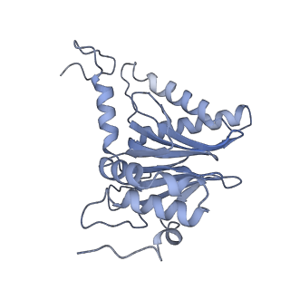 32274_7w39_l_v1-2
Structure of USP14-bound human 26S proteasome in state EA2.1_UBL