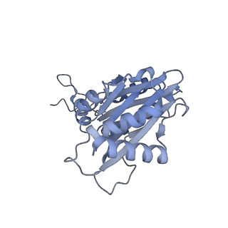 32274_7w39_m_v1-2
Structure of USP14-bound human 26S proteasome in state EA2.1_UBL
