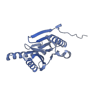 32274_7w39_n_v1-2
Structure of USP14-bound human 26S proteasome in state EA2.1_UBL