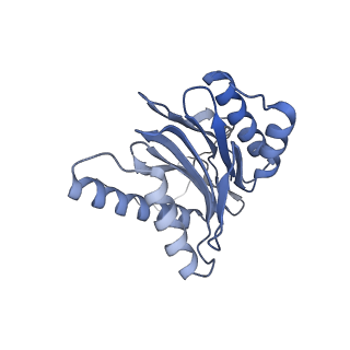 32274_7w39_o_v1-2
Structure of USP14-bound human 26S proteasome in state EA2.1_UBL