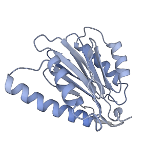 32274_7w39_p_v1-2
Structure of USP14-bound human 26S proteasome in state EA2.1_UBL