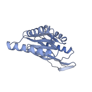 32274_7w39_q_v1-2
Structure of USP14-bound human 26S proteasome in state EA2.1_UBL