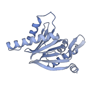 32274_7w39_r_v1-2
Structure of USP14-bound human 26S proteasome in state EA2.1_UBL