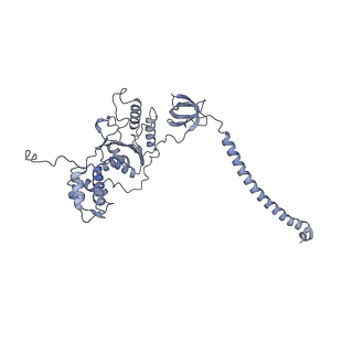 32275_7w3a_C_v1-2
Structure of USP14-bound human 26S proteasome in substrate-engaged state ED4_USP14
