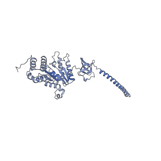 32275_7w3a_D_v1-2
Structure of USP14-bound human 26S proteasome in substrate-engaged state ED4_USP14