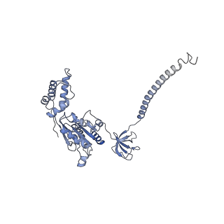 32275_7w3a_E_v1-2
Structure of USP14-bound human 26S proteasome in substrate-engaged state ED4_USP14