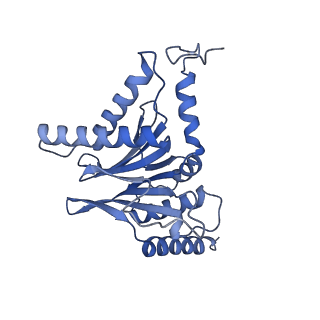 32275_7w3a_I_v1-2
Structure of USP14-bound human 26S proteasome in substrate-engaged state ED4_USP14