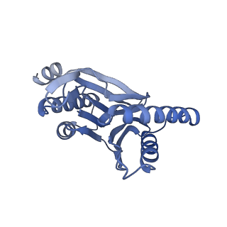 32275_7w3a_R_v1-2
Structure of USP14-bound human 26S proteasome in substrate-engaged state ED4_USP14